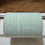 W.पिस्ता कलर